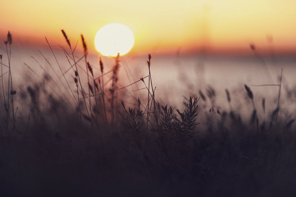 Серия "Долина ветров"