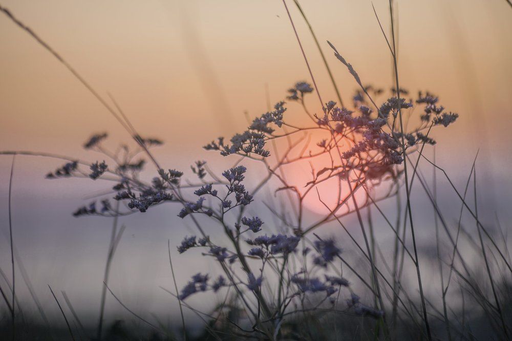 Серия "Долина ветров"