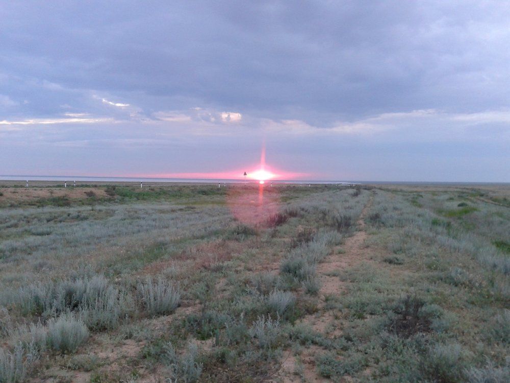 Степь, полынь и закат солнца на озере Эльтон