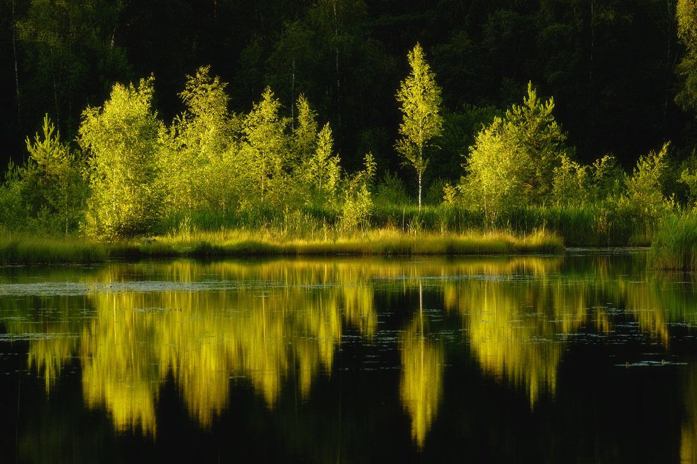 Щепкино болото