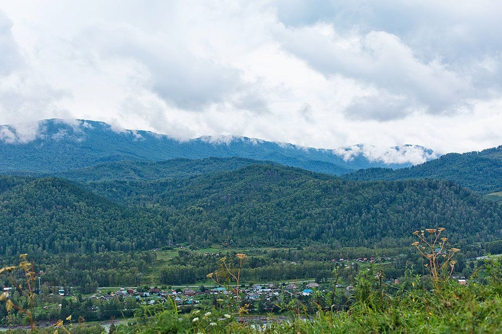 Photograph by Максимова Ольга Васильевна