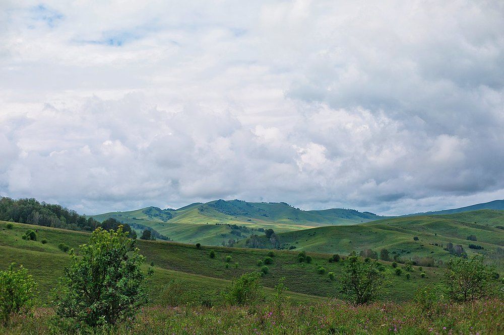 Photograph by Максимова Ольга Васильевна