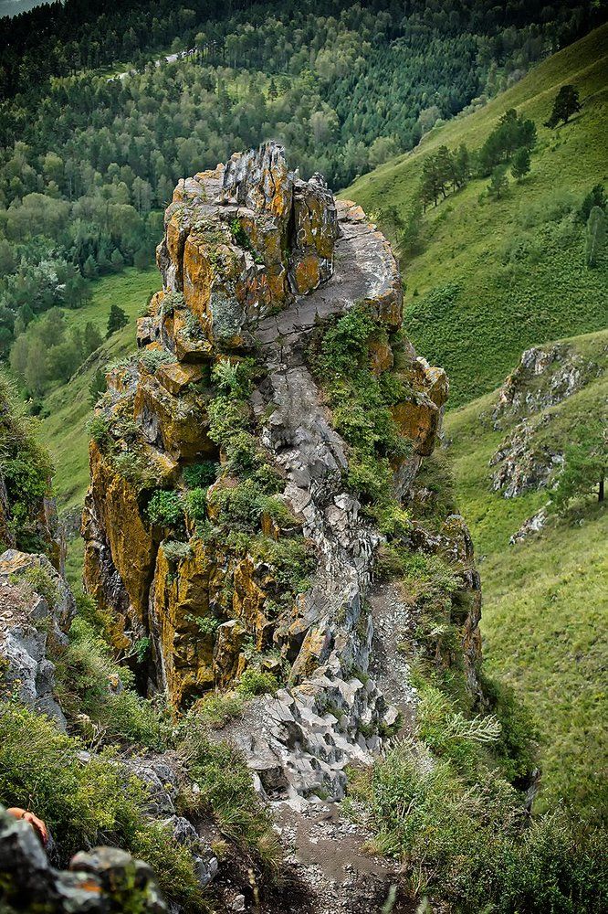 Photograph by Максимова Ольга Васильевна