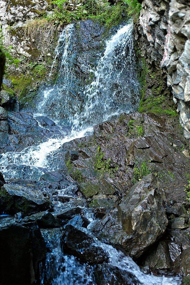 Photograph by Максимова Ольга Васильевна