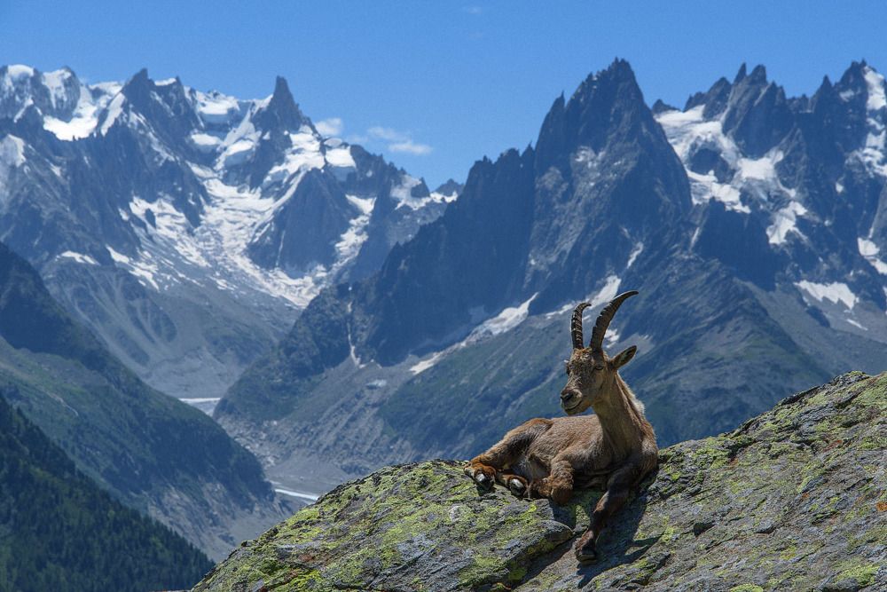"Горные пики"