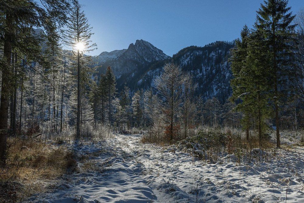 Зимняя сказка