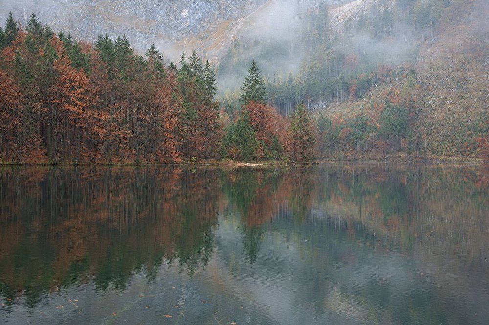 Туманное утро