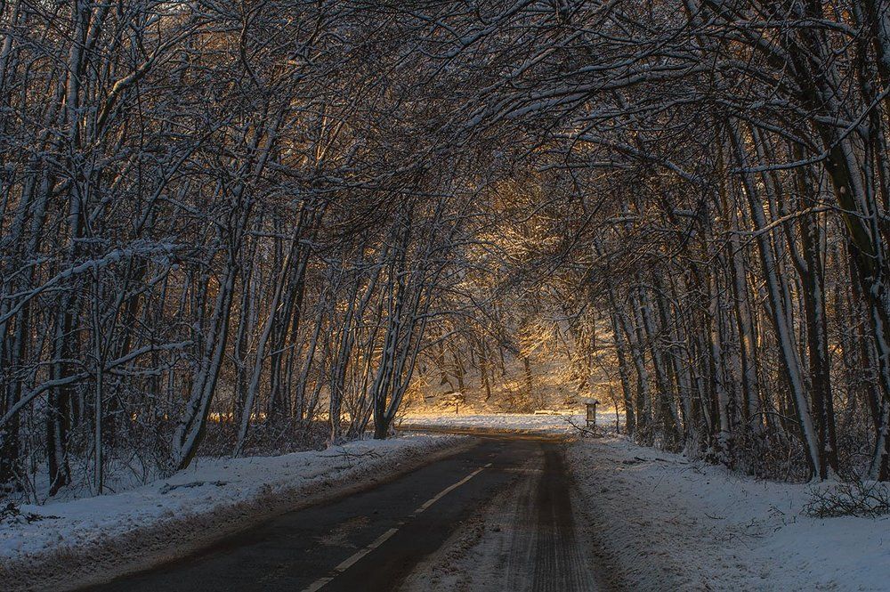 "Идем на свет"