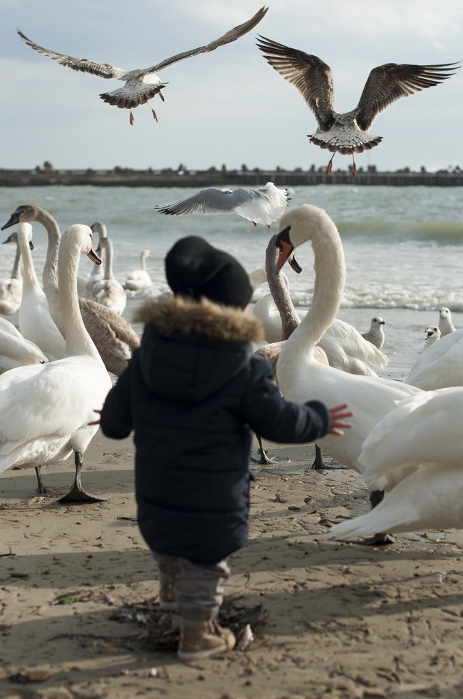 Фотография автора Viktoria  Grin