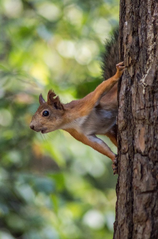 Photograph by Виктор Печищев