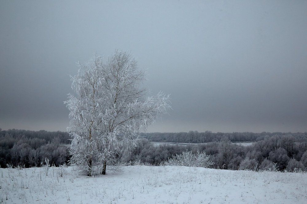 Первый день Зимы. Прощание с Алтаем