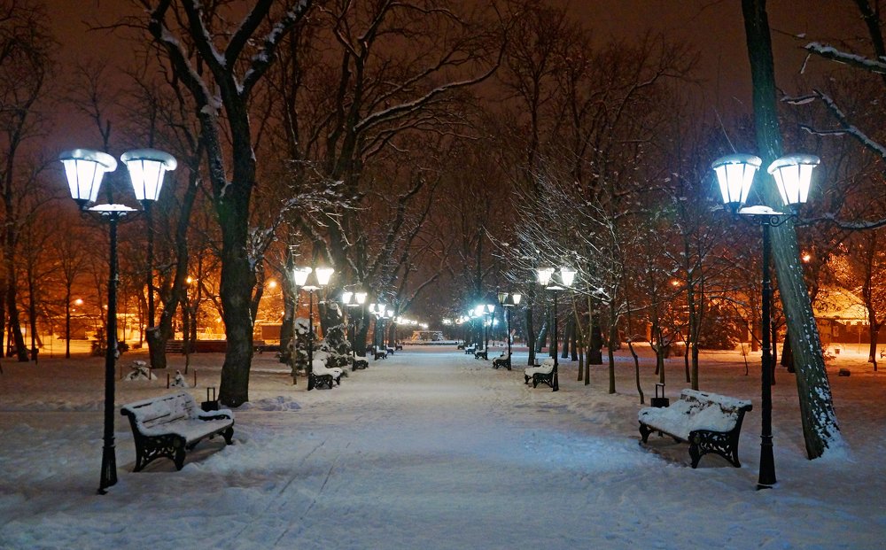 Вечер в парке