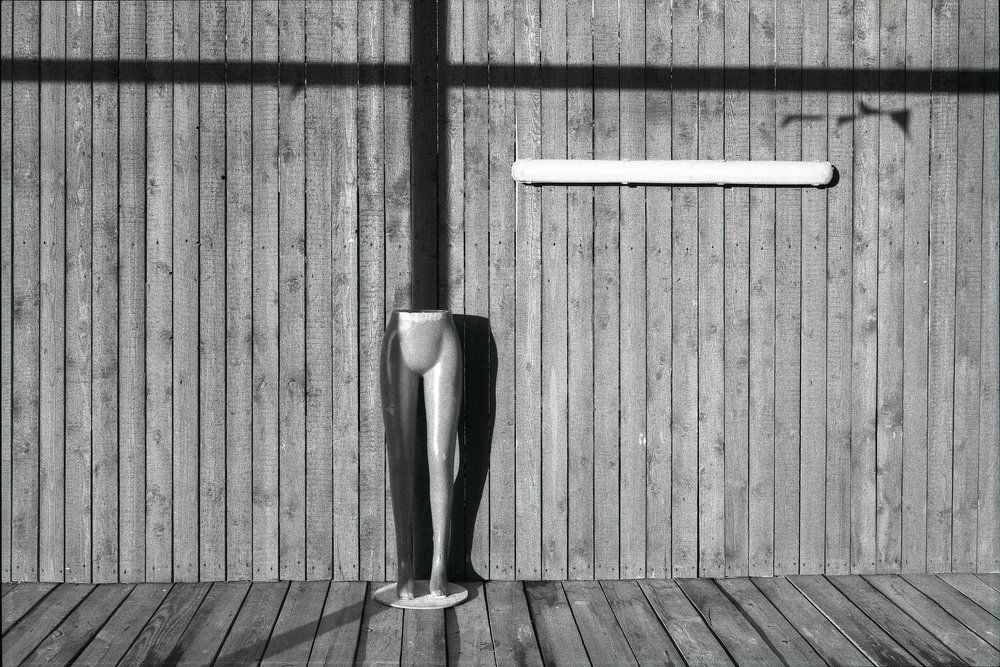 Photograph by Alexander Shchegolkov