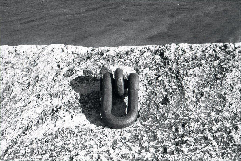 Photograph by Alexander Shchegolkov