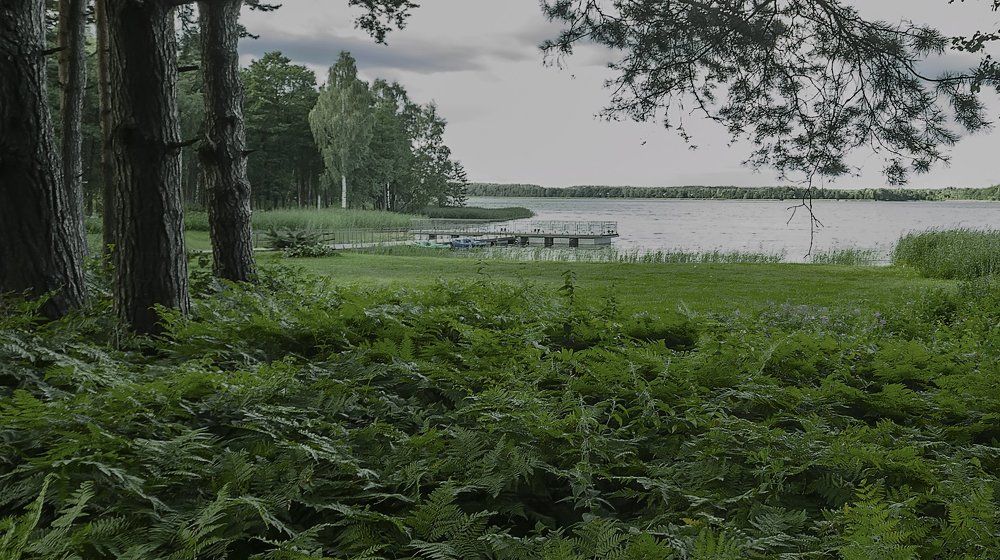 Немного пасмурно