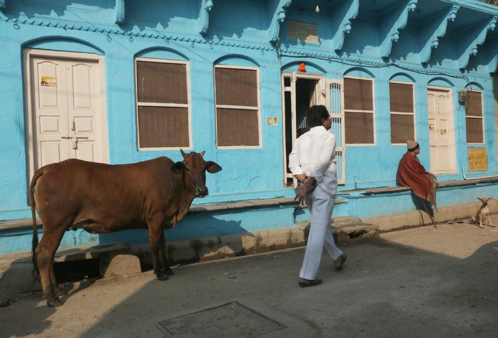 Photograph by Natalia Novikova