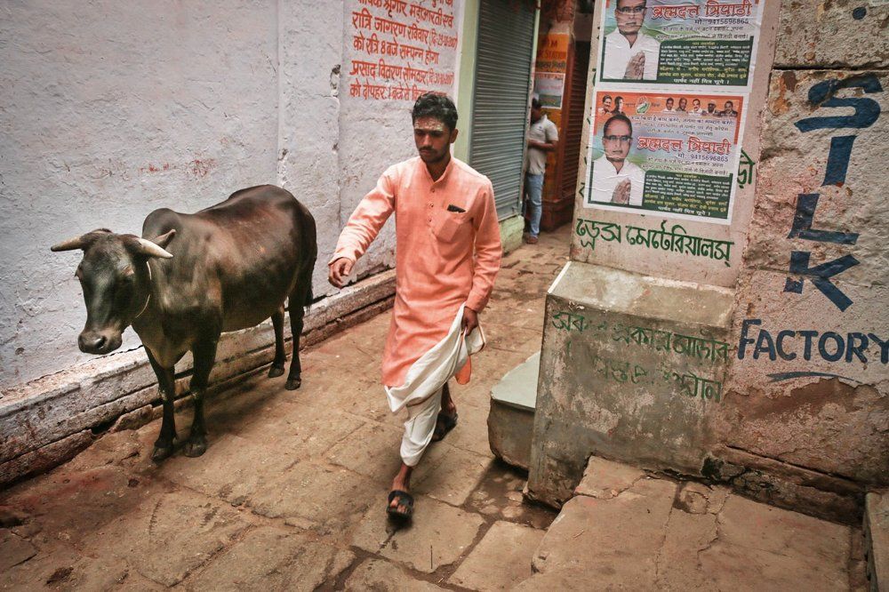 Photograph by Natalia Novikova