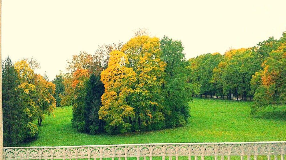 Photograph by Соня