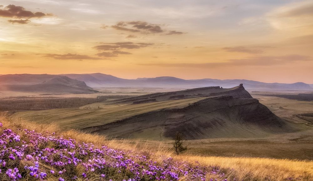 Весна в долине Онло