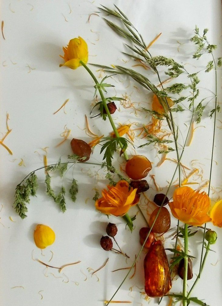 из чего рождаются картины