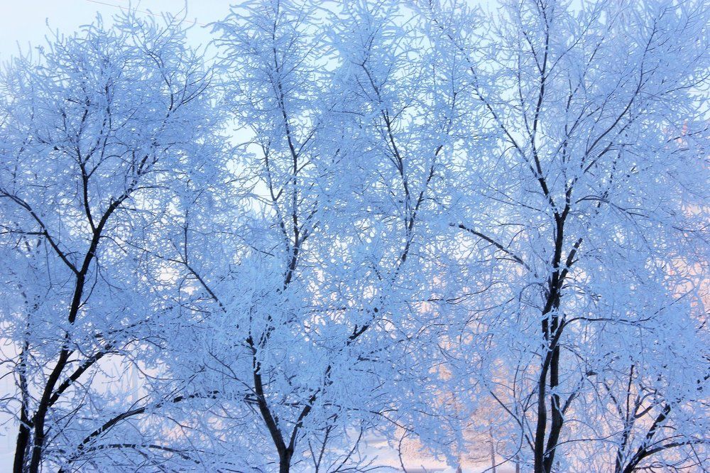 Зимние узоры