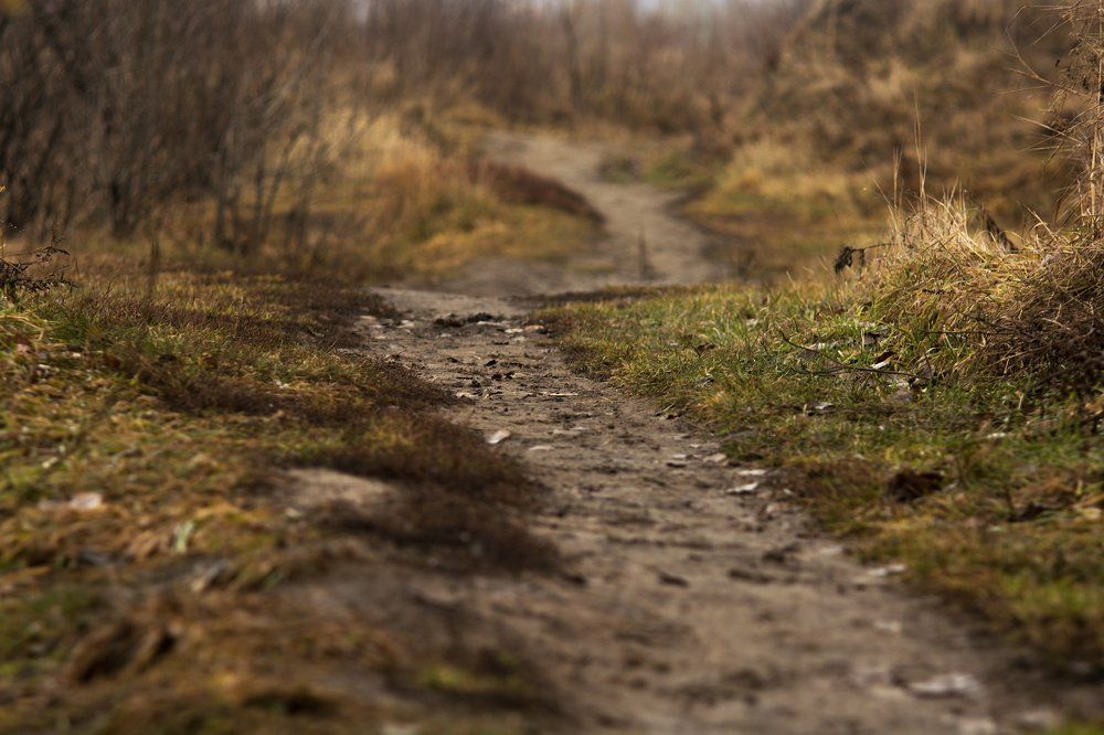 Photograph by Владимир Янчук