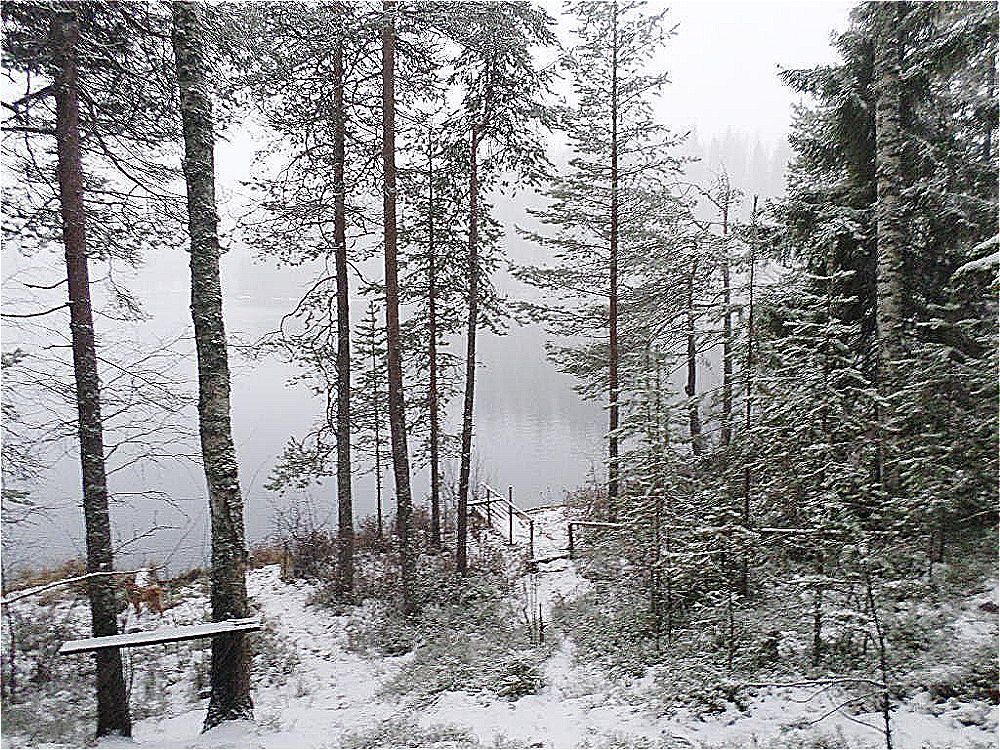 Ноябрьские напевы