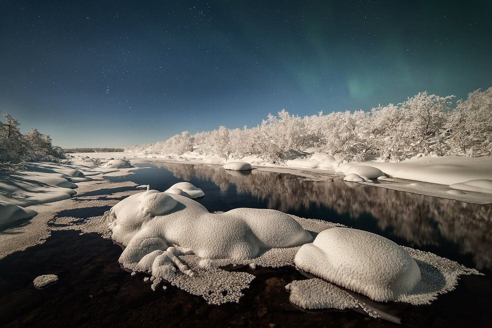 Зимние формы