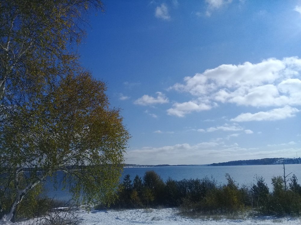 На берегу озера
