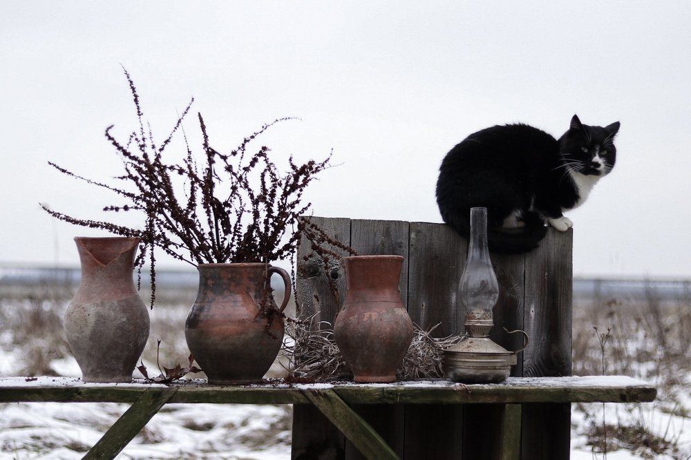 Деревенские будни