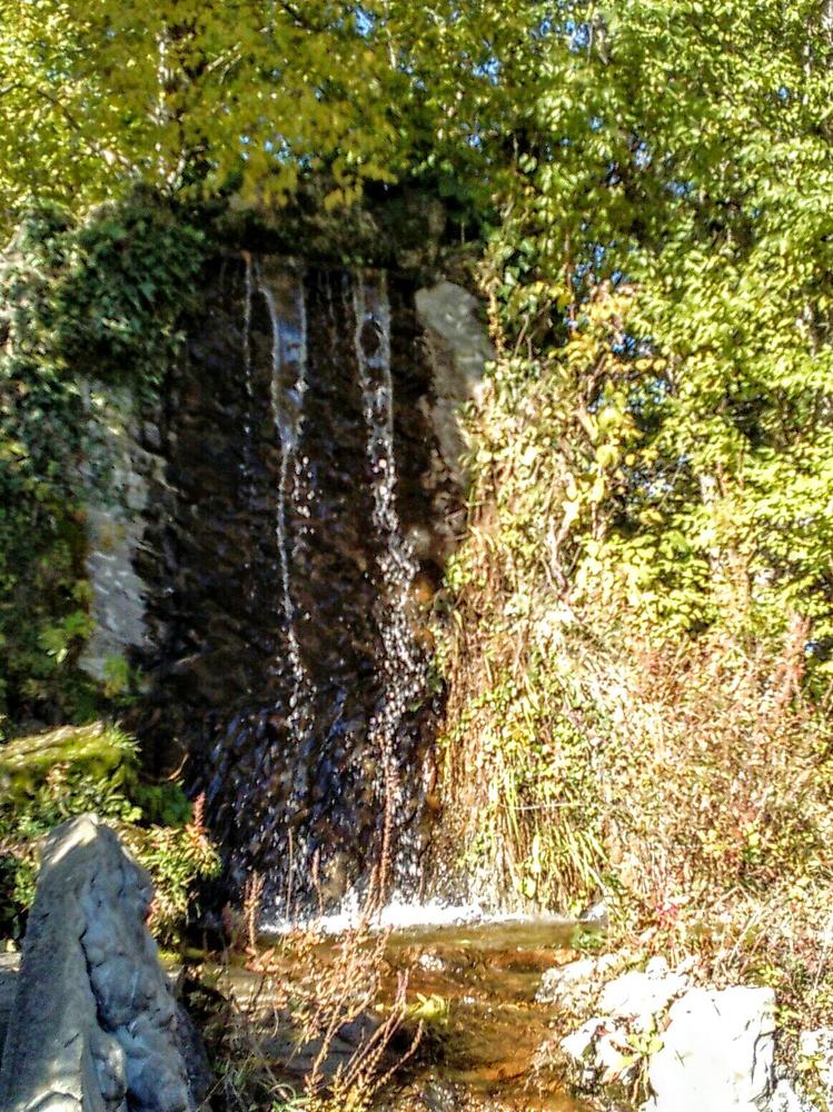 В лесу в горах