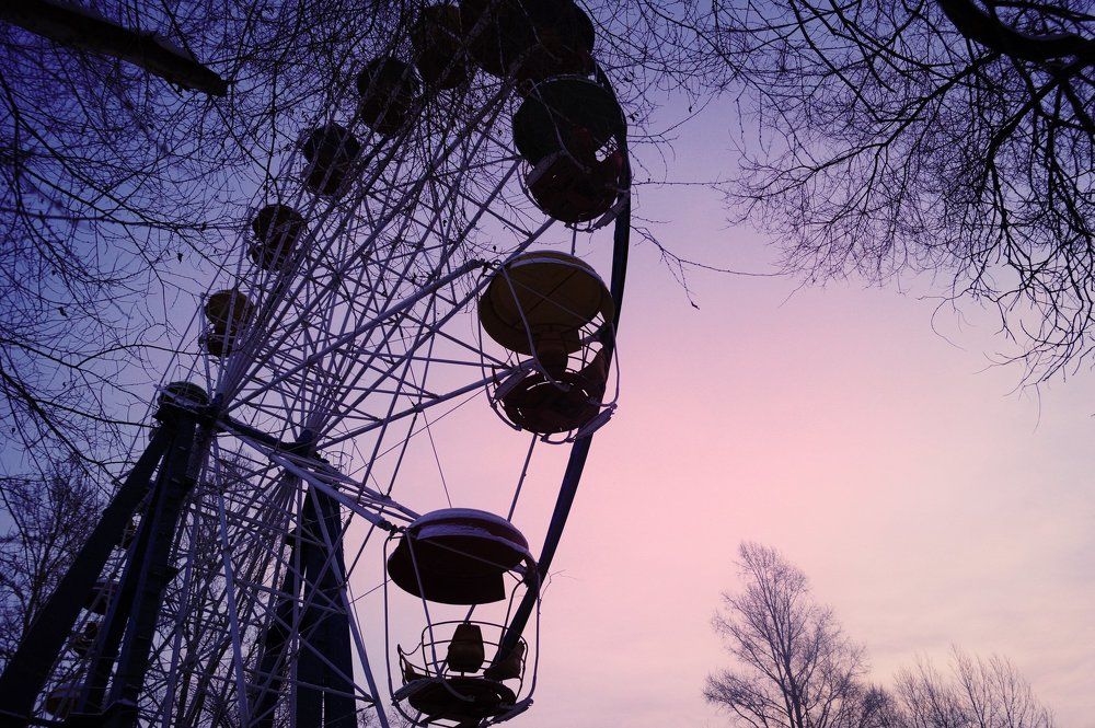 Зима, утро, парк