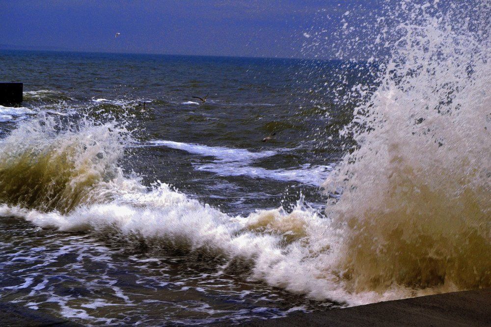 Photograph by Валентина