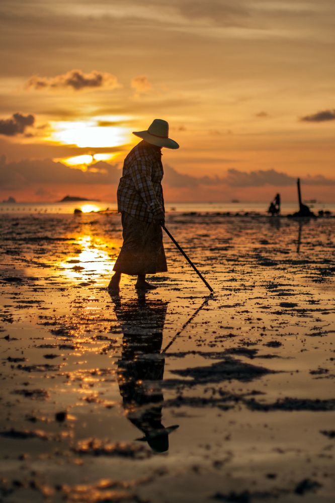 Сбор моллюсков