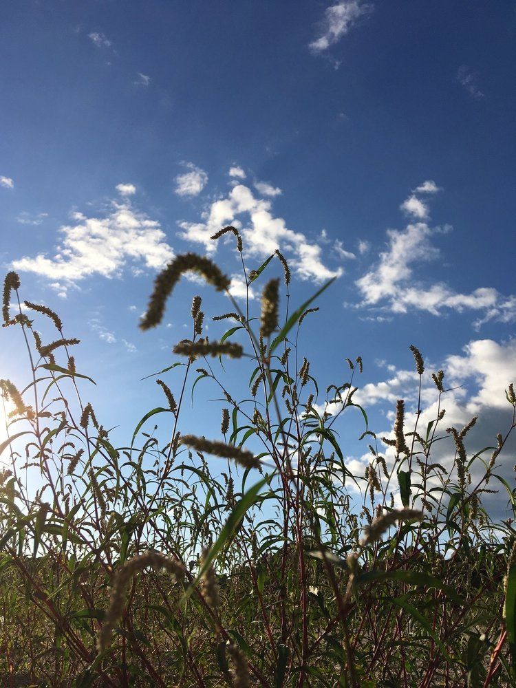 Уходящий день