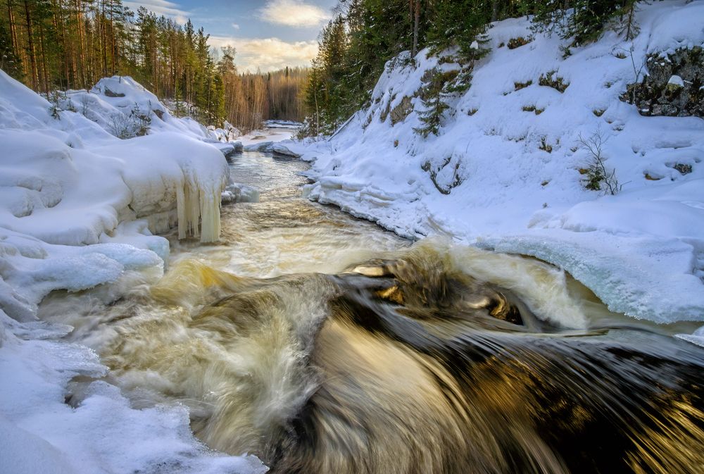 Золотой Кивач