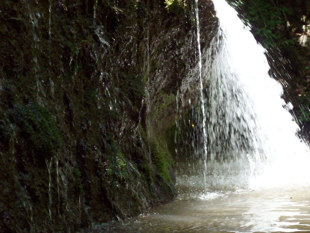 Photograph by Георги Колев