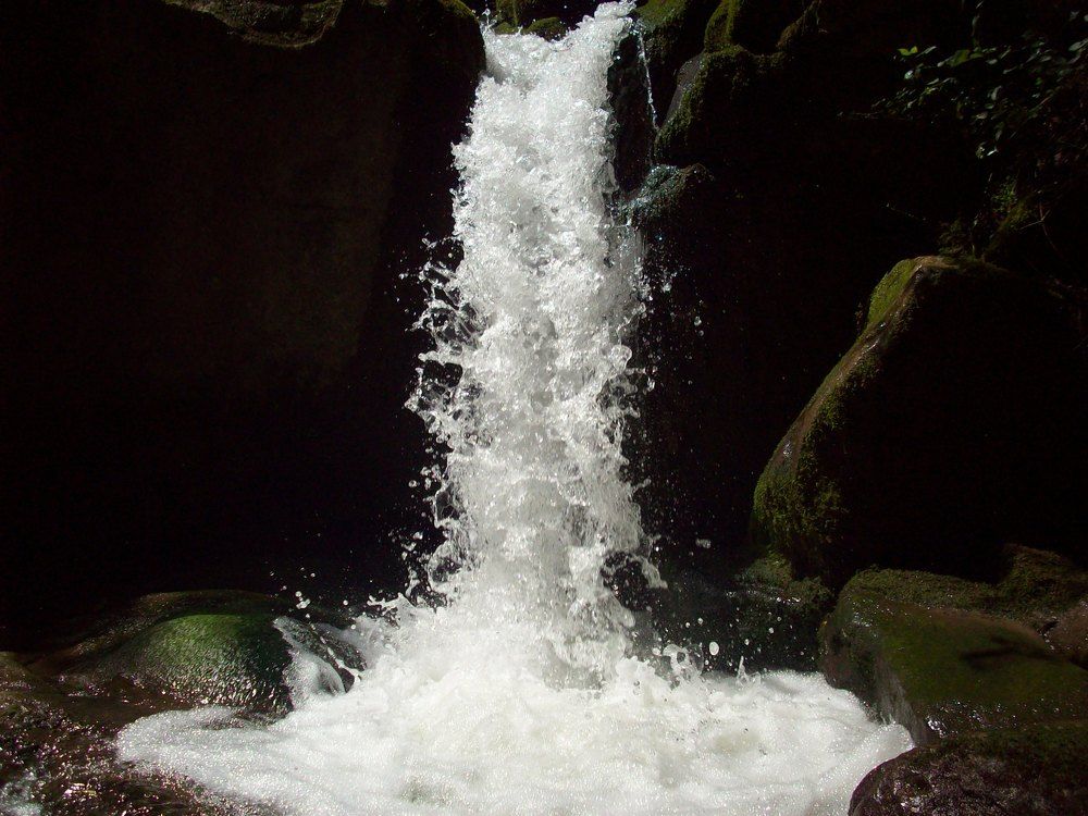 Photograph by Георги Колев