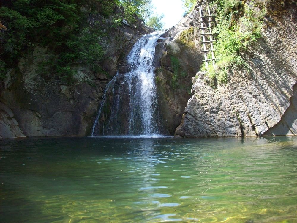 Photograph by Георги Колев