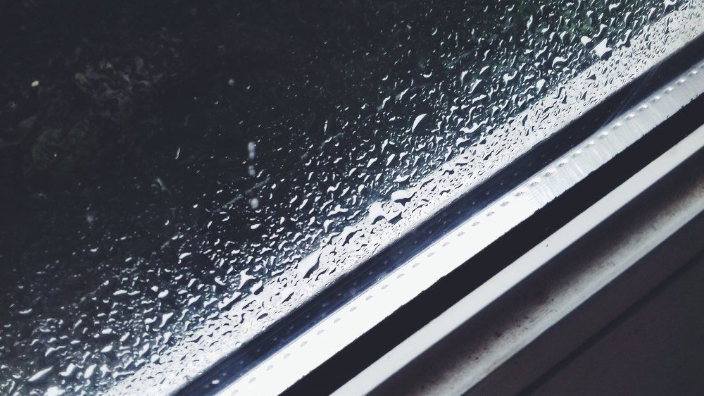 Photo #2076975
