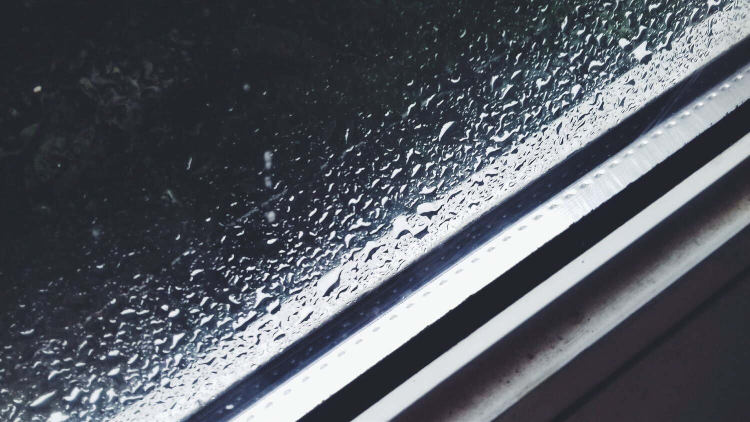 Photo #2076975