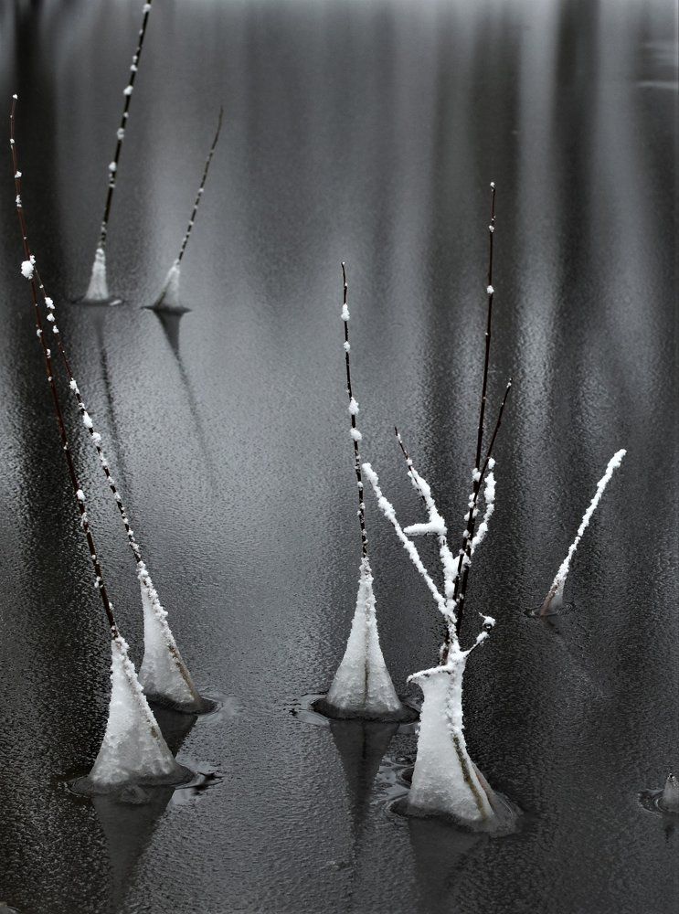 Зимнее волшебство.