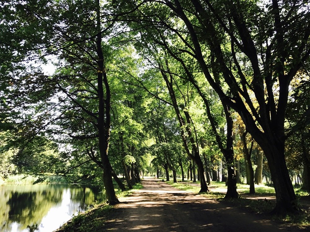 Photograph by Соня