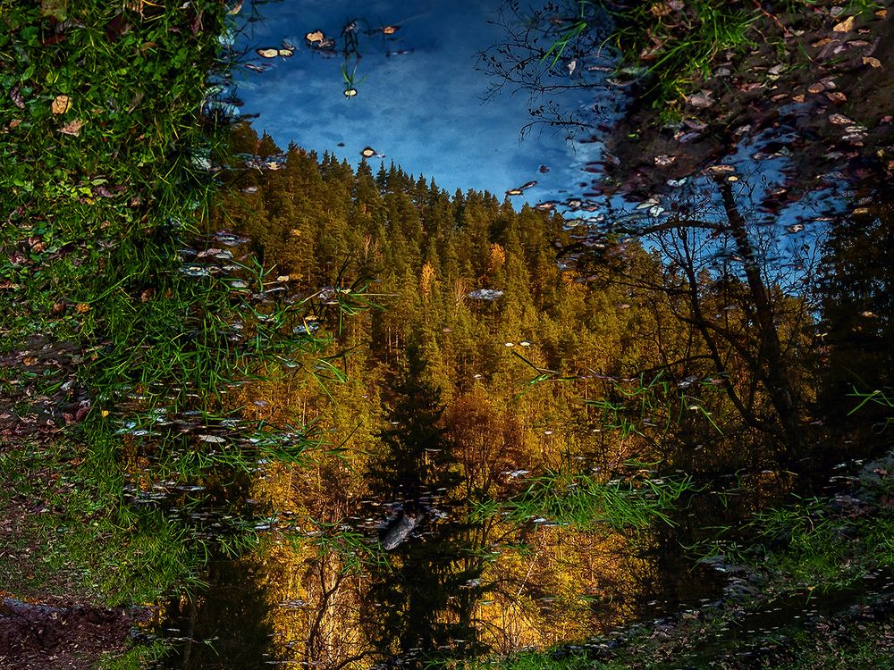 Осеннее отражение