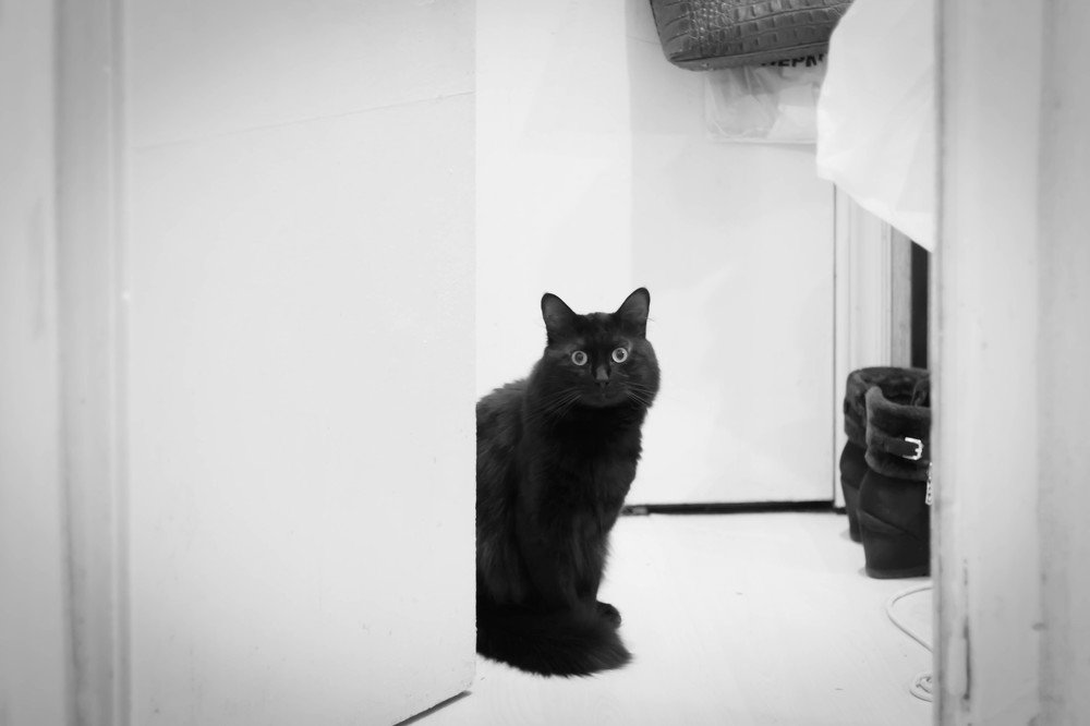 Случайное фото