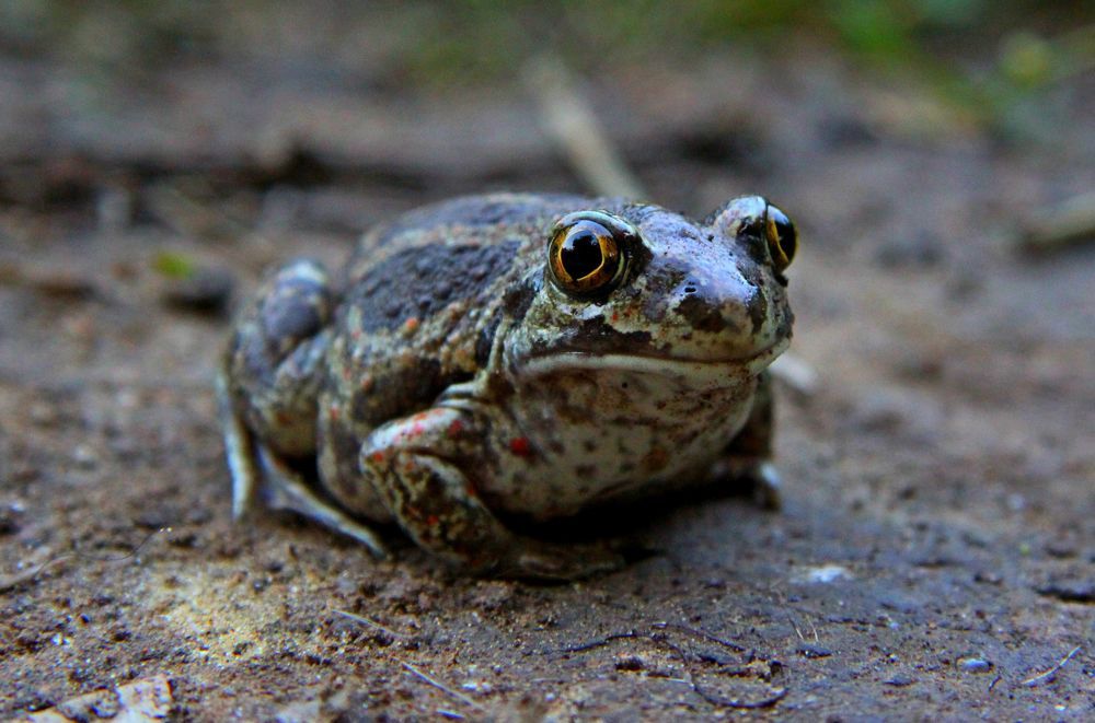 Photograph by Яшин Андрей