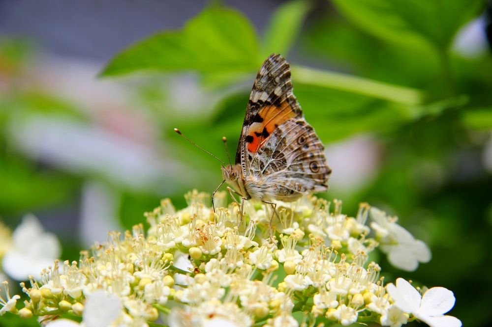 Photograph by Яшин Андрей