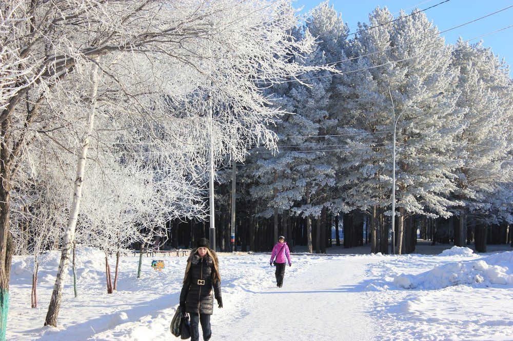 Морозное утро