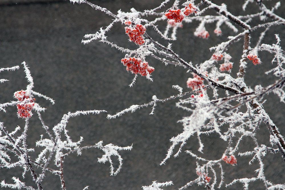 Зимний узор