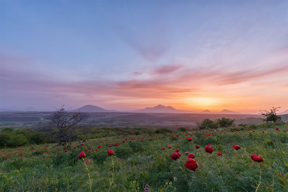 Догорающий закат